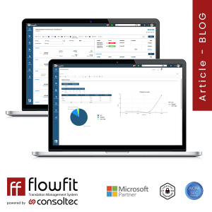 efficiency chart for language project management from FlowFit